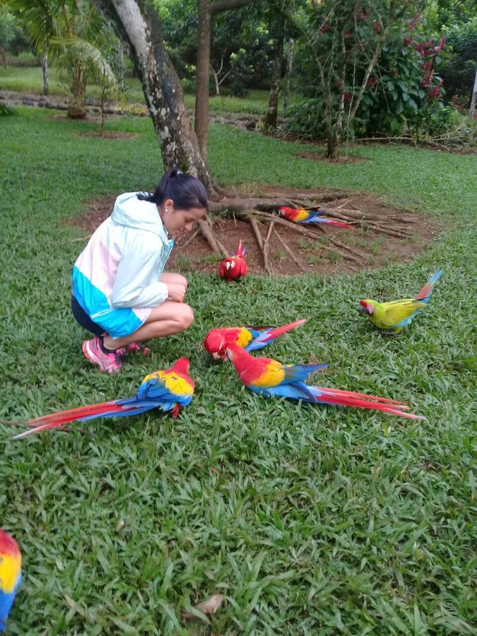 Hostel Orozco - Costa Rica Río Cuarto Εξωτερικό φωτογραφία