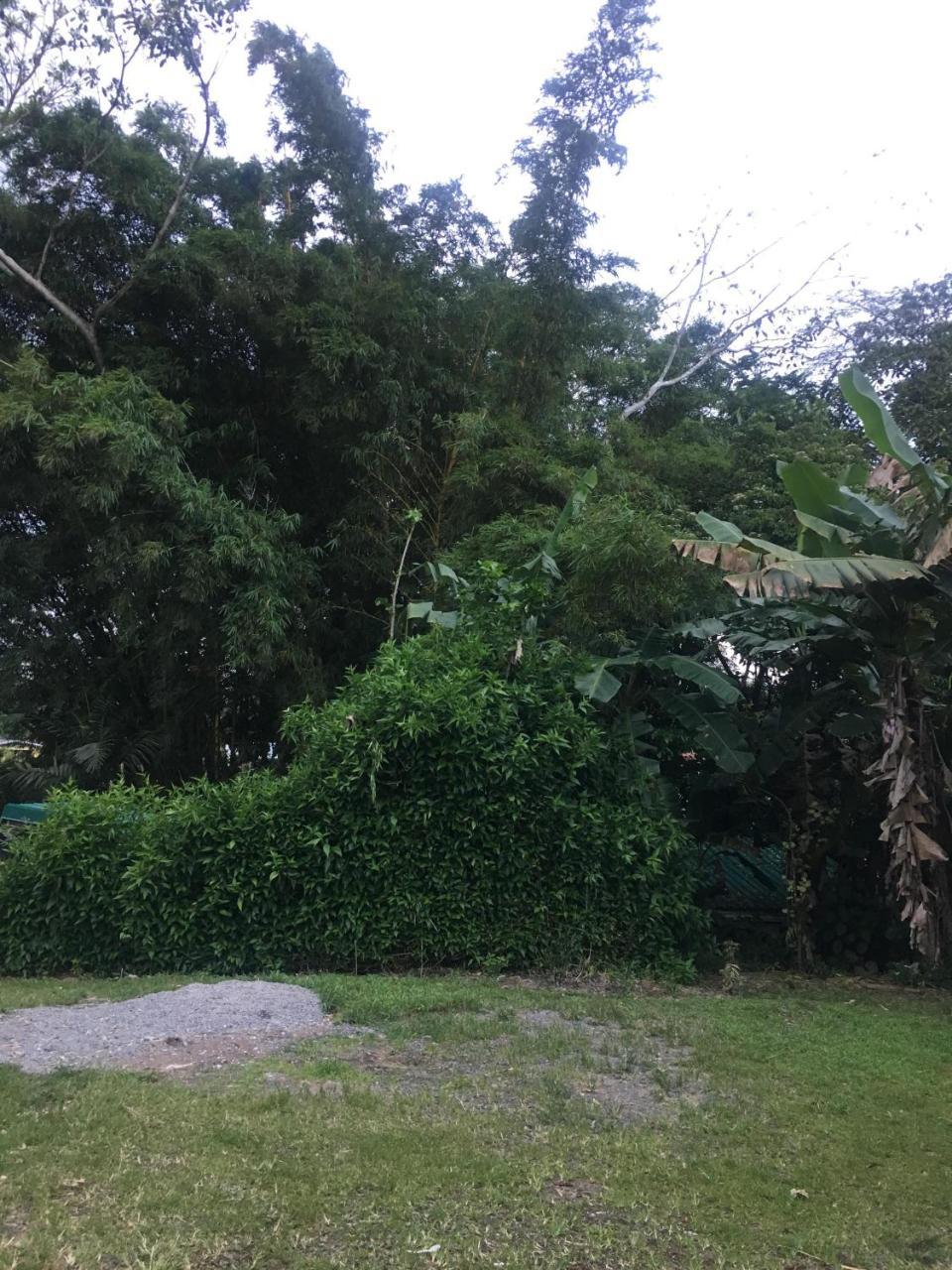 Hostel Orozco - Costa Rica Río Cuarto Εξωτερικό φωτογραφία