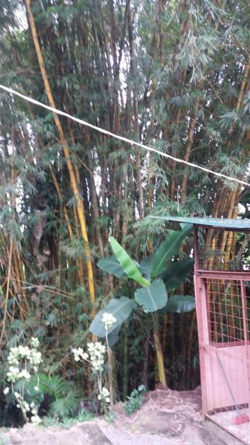 Hostel Orozco - Costa Rica Río Cuarto Εξωτερικό φωτογραφία